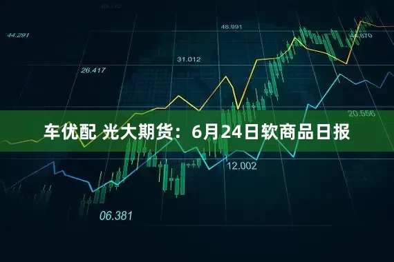 车优配 光大期货：6月24日软商品日报
