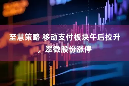 至慧策略 移动支付板块午后拉升，翠微股份涨停