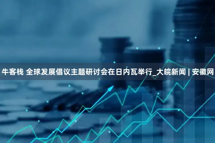 牛客栈 全球发展倡议主题研讨会在日内瓦举行_大皖新闻 | 安徽网