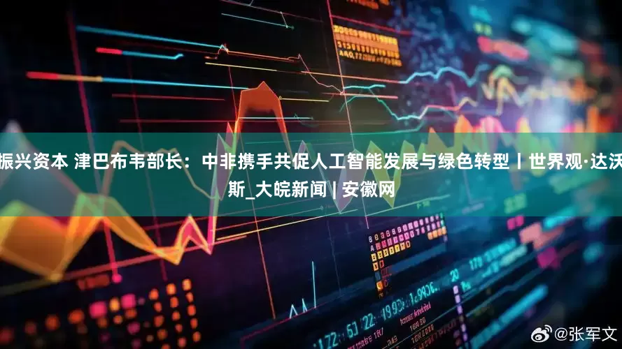振兴资本 津巴布韦部长：中非携手共促人工智能发展与绿色转型丨世界观·达沃斯_大皖新闻 | 安徽网