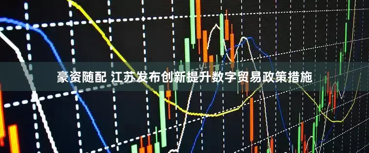 豪资随配 江苏发布创新提升数字贸易政策措施