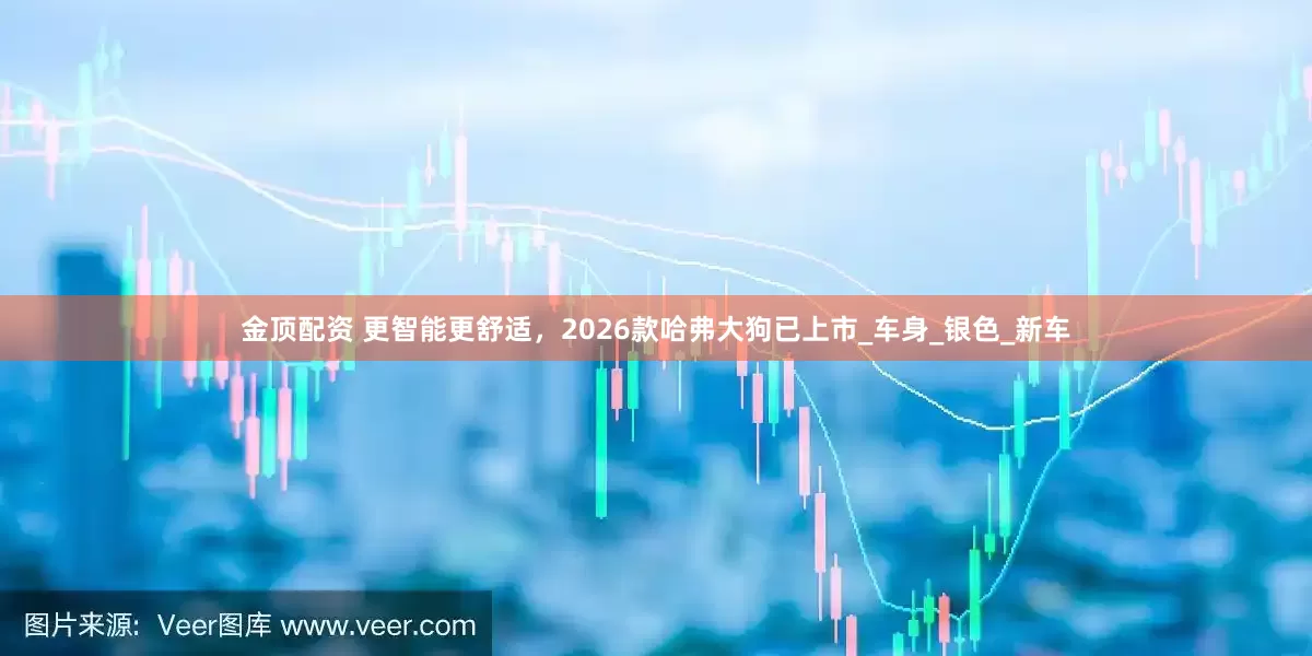 金顶配资 更智能更舒适，2026款哈弗大狗已上市_车身_银色_新车