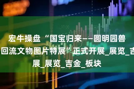 宏牛操盘 “国宝归来——圆明园兽首暨海外回流文物图片特展”正式开展_展览_吉金_板块