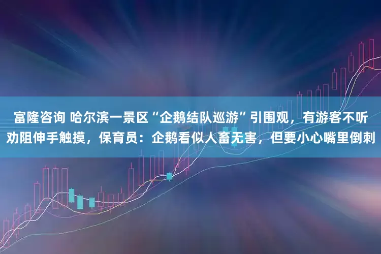 富隆咨询 哈尔滨一景区“企鹅结队巡游”引围观，有游客不听劝阻伸手触摸，保育员：企鹅看似人畜无害，但要小心嘴里倒刺