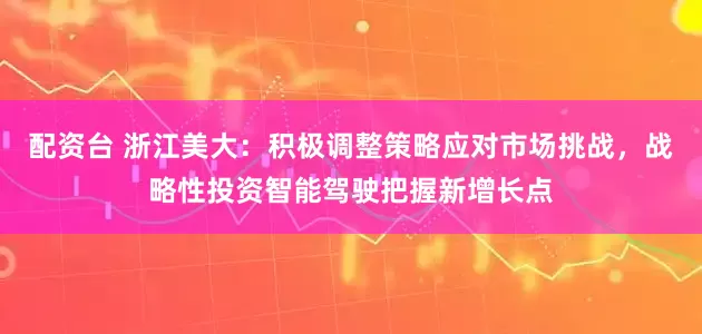 配资台 浙江美大：积极调整策略应对市场挑战，战略性投资智能驾驶把握新增长点