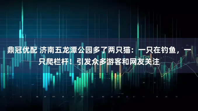 鼎冠优配 济南五龙潭公园多了两只猫：一只在钓鱼，一只爬栏杆！引发众多游客和网友关注
